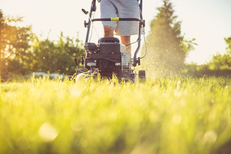 Lawn mower cutting a row of green grass
